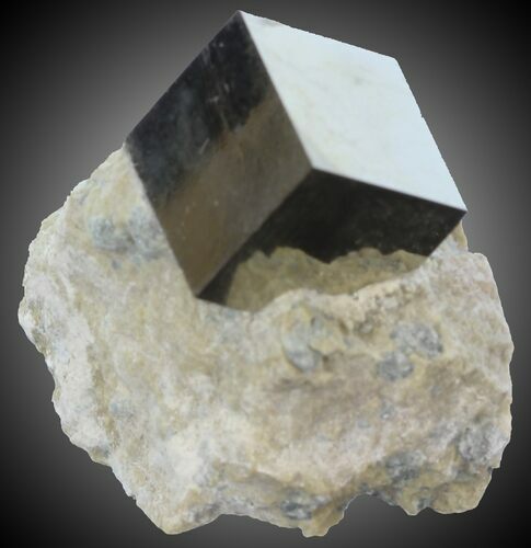 Pyrite Cube on Matrix - Navajun, Spain #30977